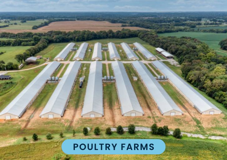 Poultry farms